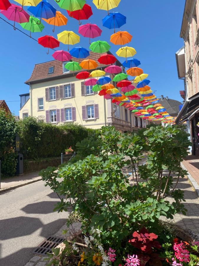 Apartamento Meubles De La Doller, Les Canards Masevaux-Niederbruck Exterior foto